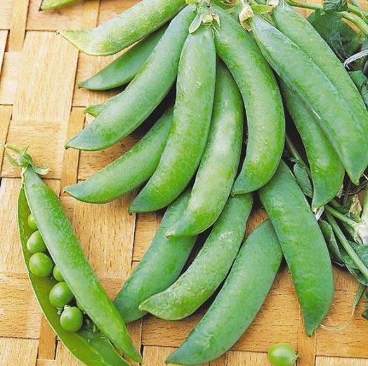 Горох Амброзия, 25г семян