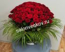 Траурная корзина из живых цветов N98 высота 80см