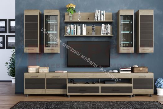 Гостиная КАМЕЛИЯ 9