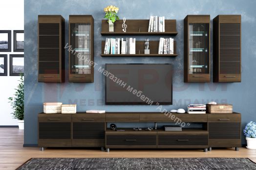 Гостиная КАМЕЛИЯ 9