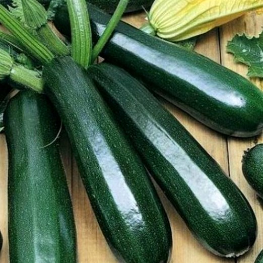 Кабачок цуккини Кандела F1, 50шт семян