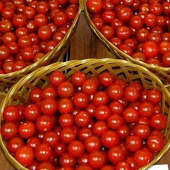 Томат полудетерминантный ТО 1435 F1, 500 семян