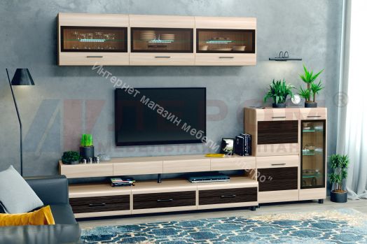 Гостиная КАМЕЛИЯ 12