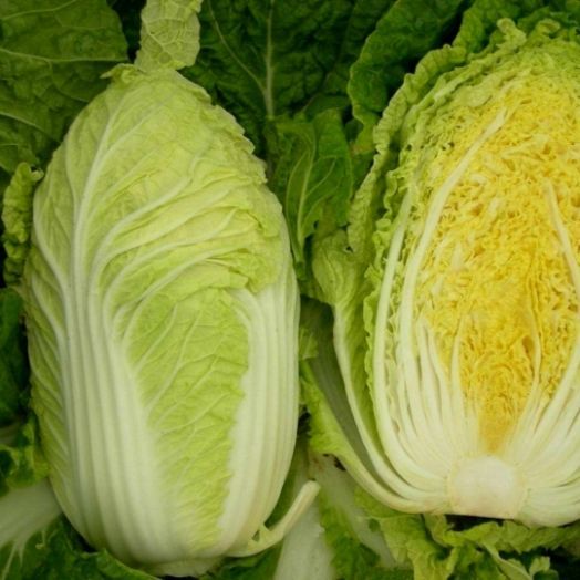 Капуста пекинская Табалуга F1, 100шт семян