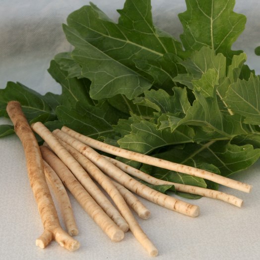 Катран (хрен татарский) Пикадром, 5г семян