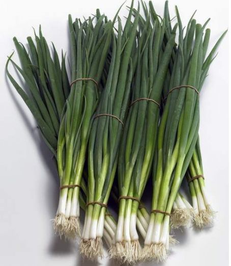 Лук на перо Тотем F1, 5г семян