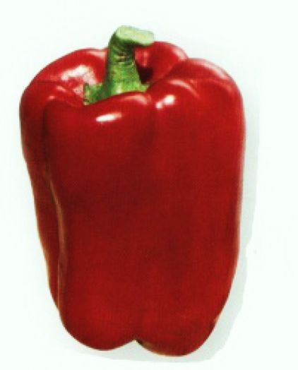 Перец сладкий ОМБРОНЕ F1, 500 семян