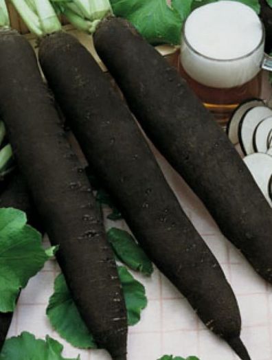 Редька Цилиндра, 10г семян