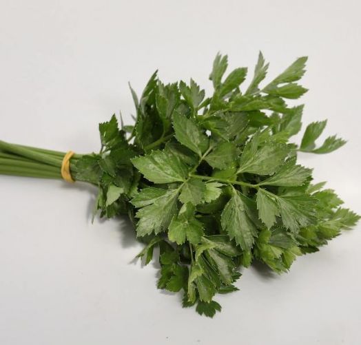 Сельдерей листовой Потенциал, 5г семян