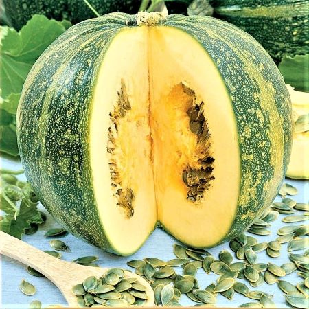 Тыква Голосемянная, 50шт семян