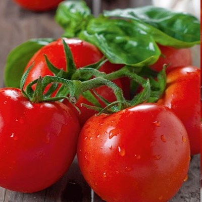 Томат детерминантный Роткэппхен (Красная шапочка), 1г семян