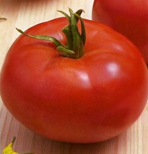 Томат детерминантный СУЛТАН F1, 500 семян