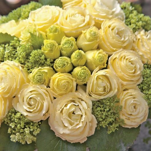 Эустома(Лизиантус) махровая (Eustoma grandiflorum) Croma Yellow, 50 драже