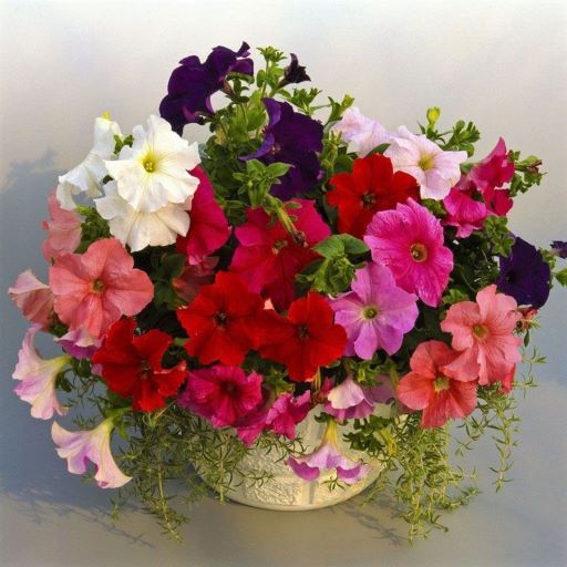 Петуния крупноцветковая (Petunia grandiflora F1) Supercascade Mix, 250 драже