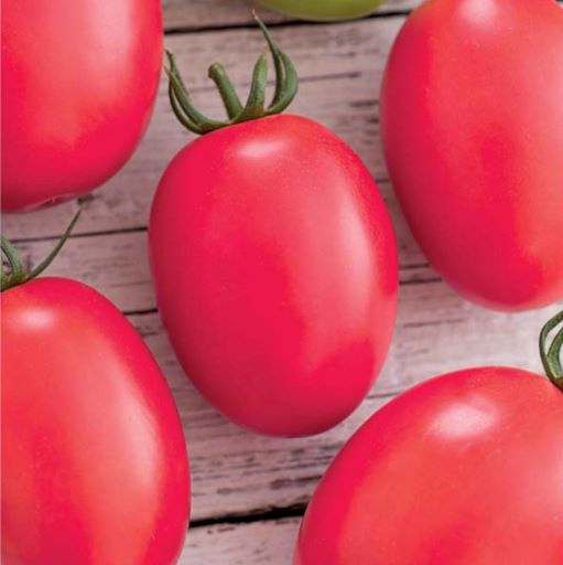 Томат индетерминантный Де Барао розовый, 1г семян