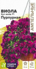 Виола Кул Вейв Пурпурная F1 ампельная (Сем Алт)