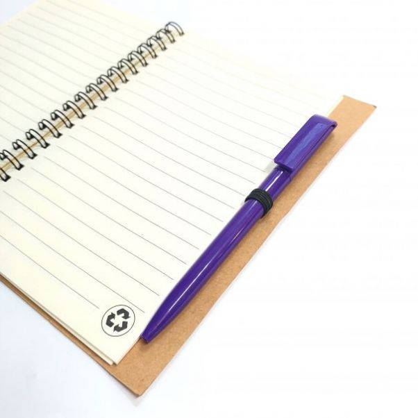 Шариковые ручки Каролина фиолетовые