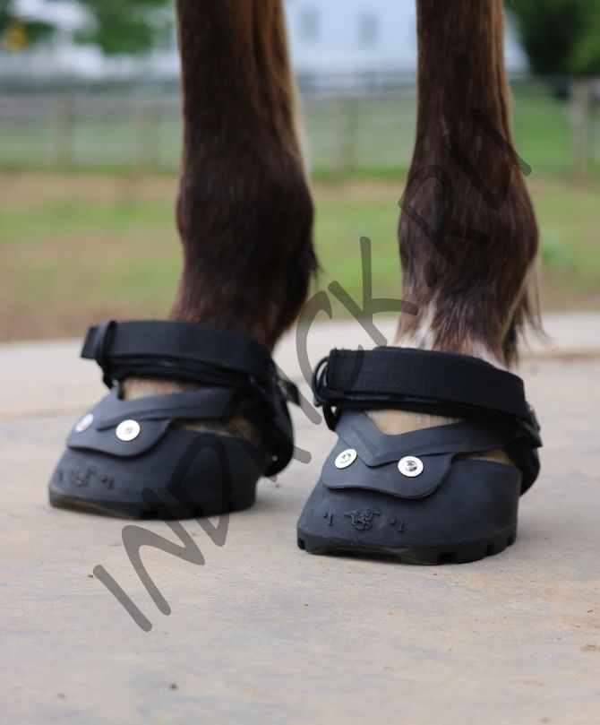 Ботинок для копыт EasyBoot Glove 50