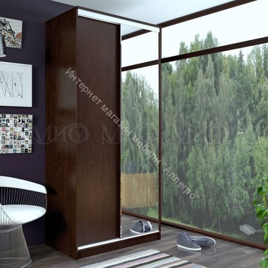 Шкаф-купе Альянс 1000 мм