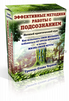 Эффективные методики работы с Подсознанием (Слава Чернов)