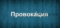 Искусство влияния и провокация (Александр Галевич)