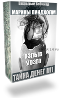 Тайны денег 4. Взрыв мозга (Марина Линдхолм)