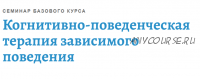 [АКПП] Когнитивно-поведенческая терапия зависимого поведения (Андрей Каменюкин)