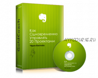 [GoldCoach] Как одновременно управлять 20 проектами через Evernote (Иван Зимбицкий)