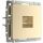 Розетка Werkel Ethernet RJ-45 W1181011 Шампань / Веркель