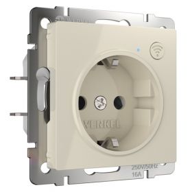 Розетка с Заземлением Werkel W1171603 Слоновая Кость, Умная, Встраиваемая / Веркель