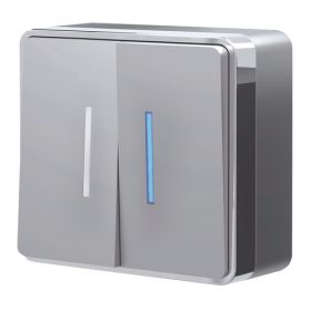 Выключатель Двухклавишный с Подсветкой Werkel Gallant W5020106 Серебряный / Веркель
