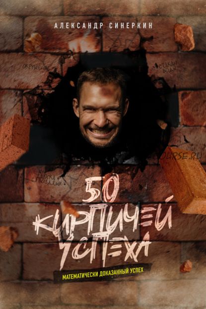 50 кирпичей успеха (Александр Синеркин)