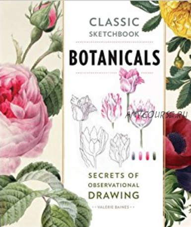 Botanicals: Secrets of Observational Drawing (Valerie Baines)