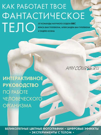 Как работает твое фантастическое тело (Эндрю Коэн, Александр Ван Туллекен)