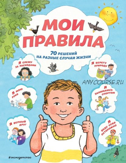 Мои правила. 70 решений на разные случаи жизни (Джо Стимпсон)