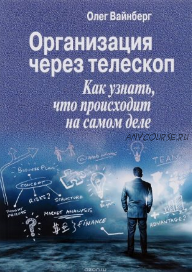 Организация через телескоп. Как узнать, что происходит на самом деле (Олег Вайнберг)