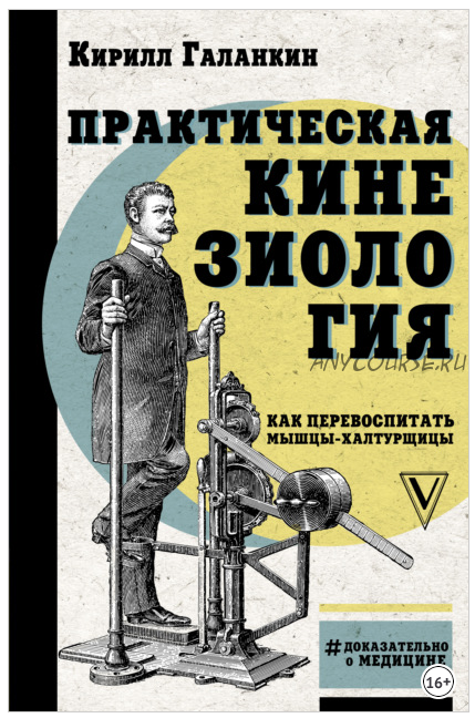 Практическая кинезиология. Как перевоспитать мышцы-халтурщицы (Кирилл Галанкин)