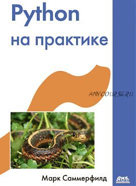 Python на практике (Марк Саммерфилд)