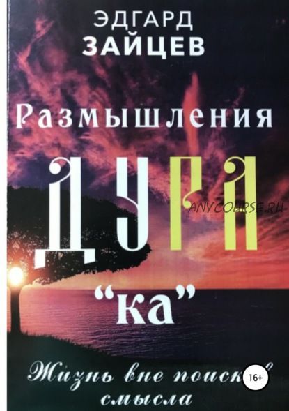 Размышления дурака. Жизнь вне поисков смысла, 2018 (Эдгард Зайцев)