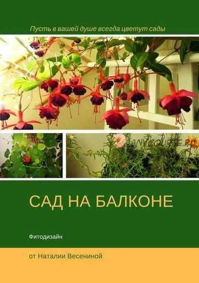 Сад на балконе. Фитодизайн (Наталия Весенина)