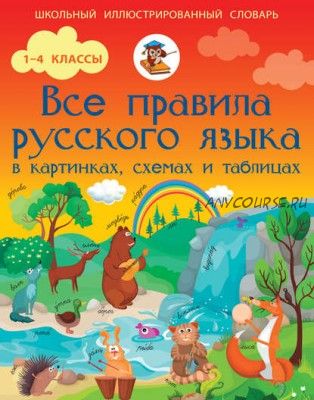 Все правила русского языка в картинках, схемах и таблицах (Сергей Матвеев)