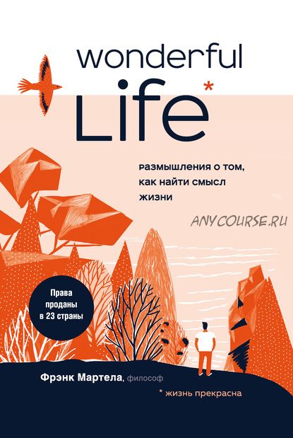 Wonderful Life. Размышления о том, как найти смысл жизни (Фрэнк Мартела)