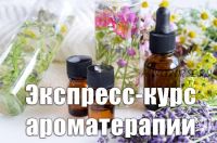 Экспресс-курс ароматерапии (Ольга Мамистова)