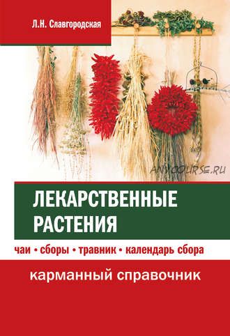 Лекарственные растения: чаи, сборы, травник, календарь сбора (Лариса Славгородская)