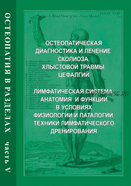 Остеопатия в разделах. Часть V. Руководство (Ирина Егорова, Андрей Червоток)