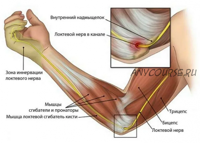 Проблемы локтевого сустава и суставов кисти и запястья - пути их решения (Фидель Субботин)