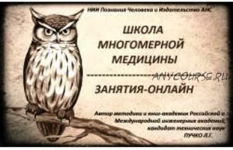 Школа Многомерной медицины. 24 онлайн-занятия (Алла Слободянюк)