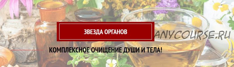 Звезда органов. Комплекс очищения души и тела (Аринa Никитинa)