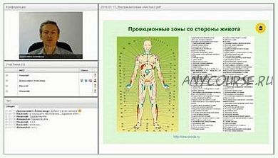 [Древо Рода] Внутриклеточная очистка от шлаков и токсинов с помощью бани (Александр Дорошкевич)