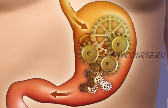 [Интераура] Нормализация работы пищеварительной системы (2015)